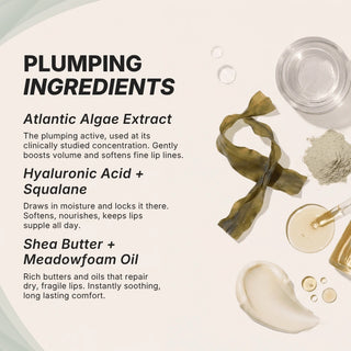 Areliaa Lip Plumper