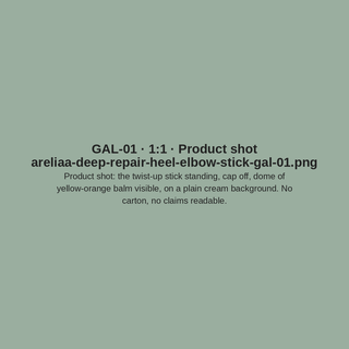 GAL-01 · Product shot (placeholder)