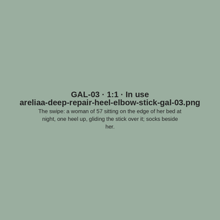 GAL-03 · In use (placeholder)