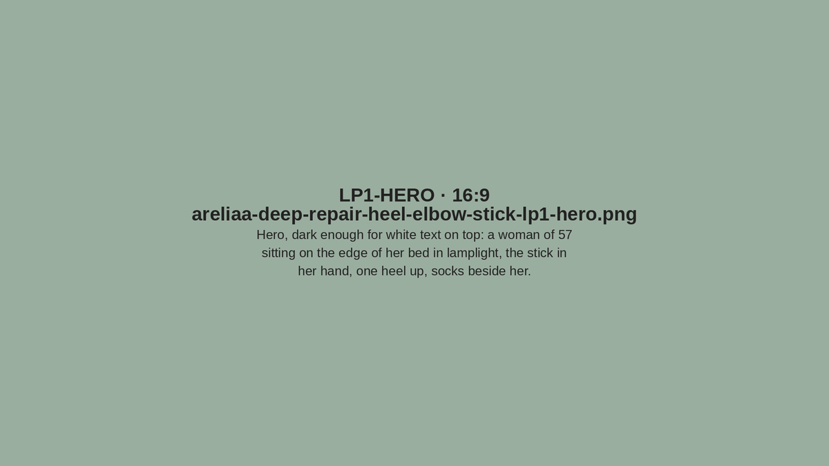 Placeholder LP1-HERO — areliaa-deep-repair-heel-elbow-stick