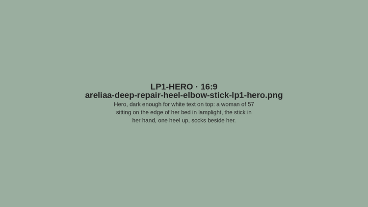 Placeholder LP1-HERO — areliaa-deep-repair-heel-elbow-stick