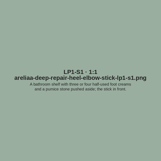 Placeholder LP1-S1 — areliaa-deep-repair-heel-elbow-stick