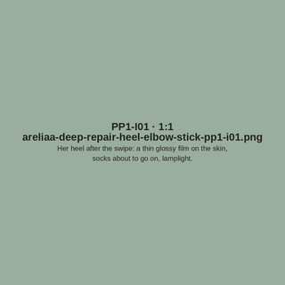 Placeholder PP1-I01 — areliaa-deep-repair-heel-elbow-stick