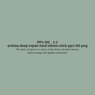 Placeholder PP1-I02 — areliaa-deep-repair-heel-elbow-stick