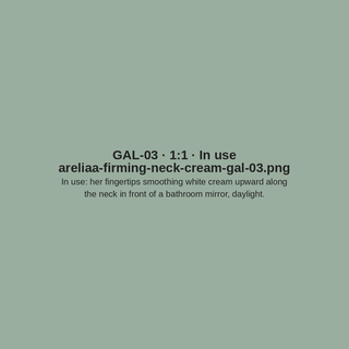 GAL-03 · In use (placeholder)