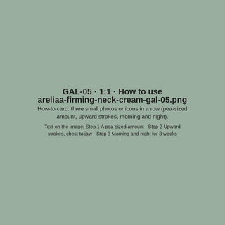 GAL-05 · How to use (placeholder)