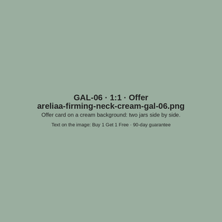 GAL-06 · Offer (placeholder)