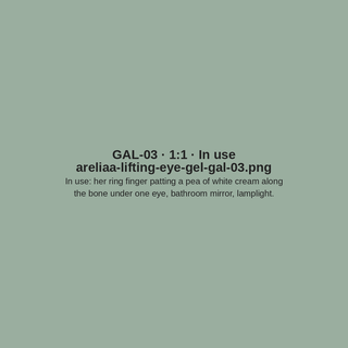 GAL-03 · In use (placeholder)