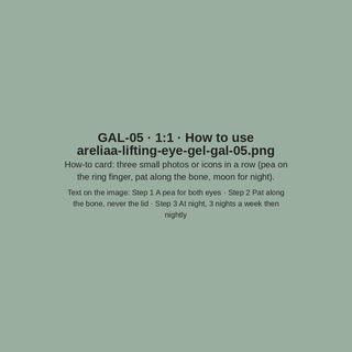 GAL-05 · How to use (placeholder)