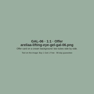 GAL-06 · Offer (placeholder)